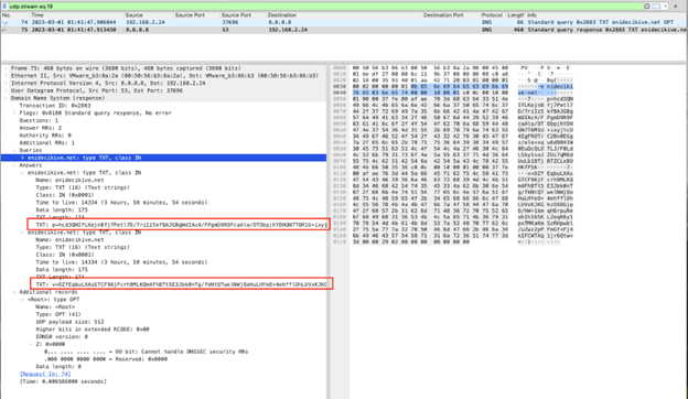 TXT results of C&C domain.